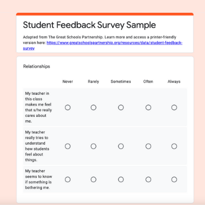 Screenshot of student feedback survey